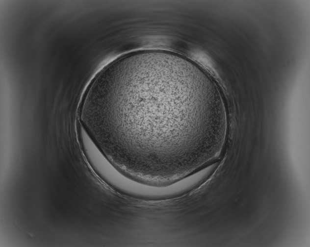 X0000085821284200703231349