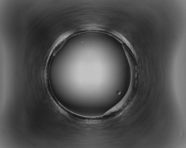 X0000085821285200703231349