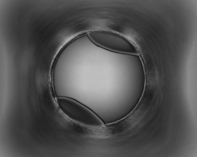 X0000085821287200703231349