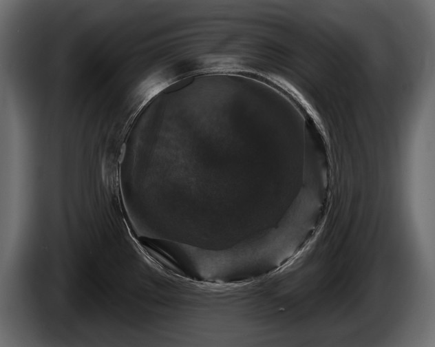 X0000085821289200703231349