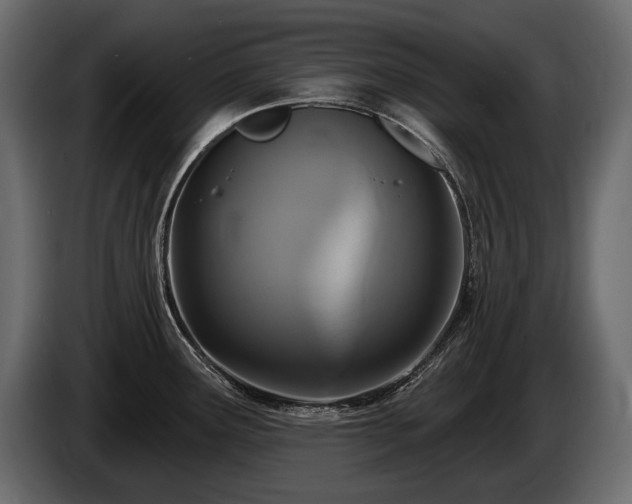 X0000085821291200703231349