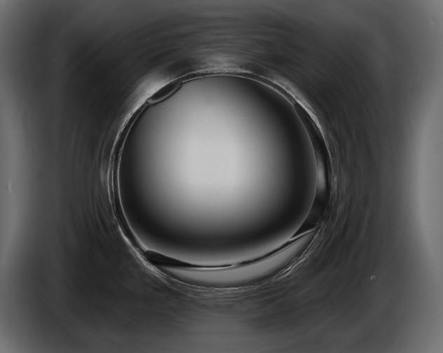 X0000085821293200703231349