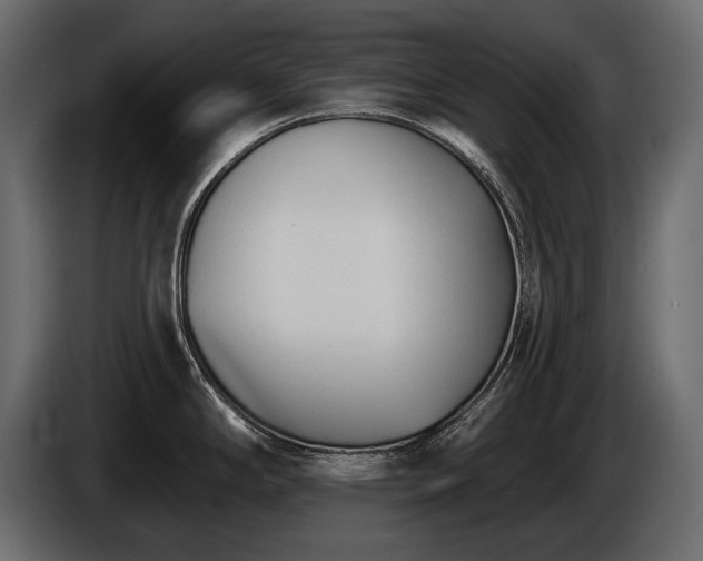 X0000085821294200703231349
