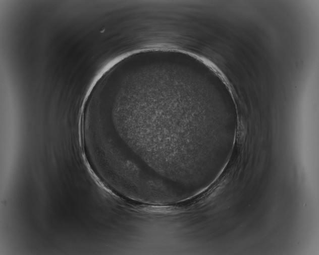 X0000085821295200703231348