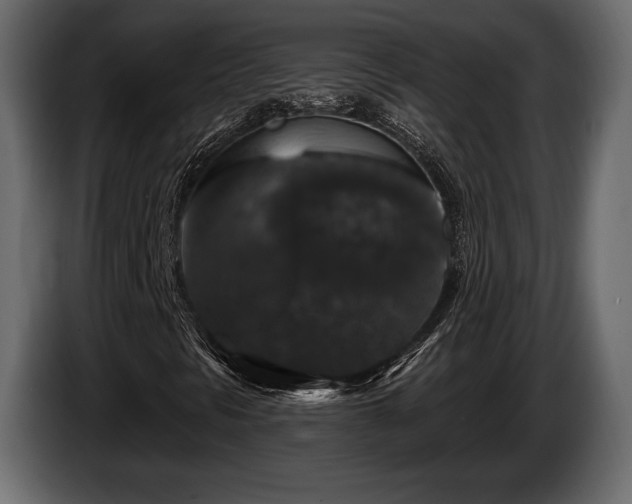 X0000085821297200703231348