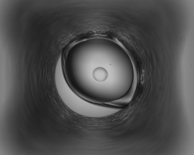 X0000085821298200703231348