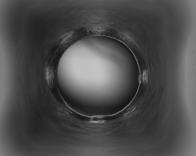 X0000085821299200703231348