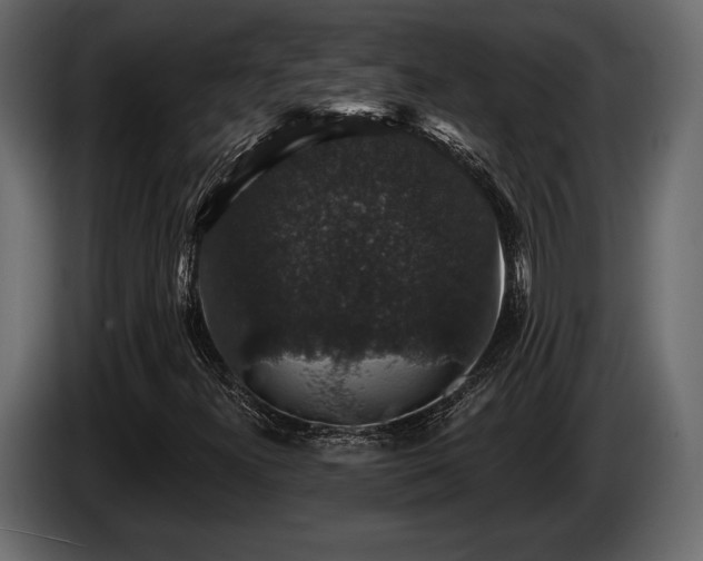 X0000085821300200703231348