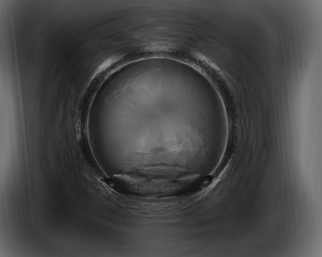 X0000085821306200703231348