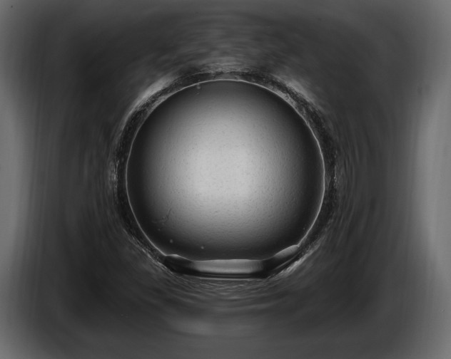 X0000085821309200703231348
