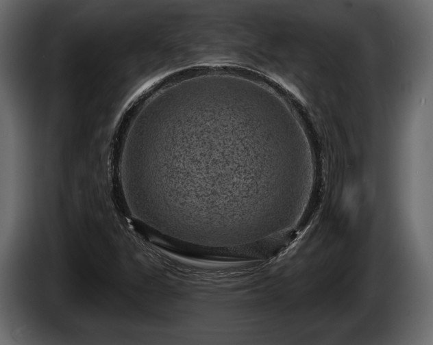 X0000085821311200703231348