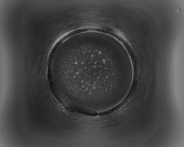X0000085821312200703231348