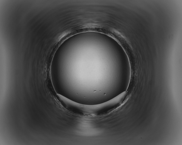 X0000085821313200703231348
