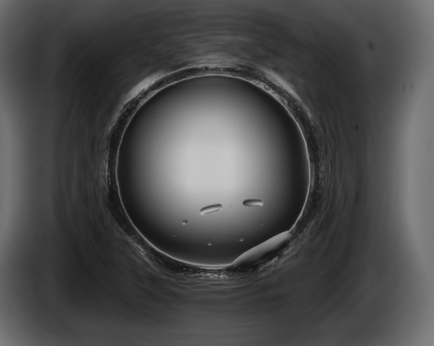X0000085821315200703231348