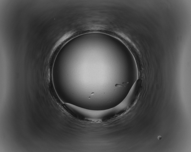 X0000085821317200703231348