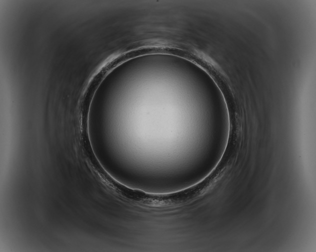X0000085821318200703231348