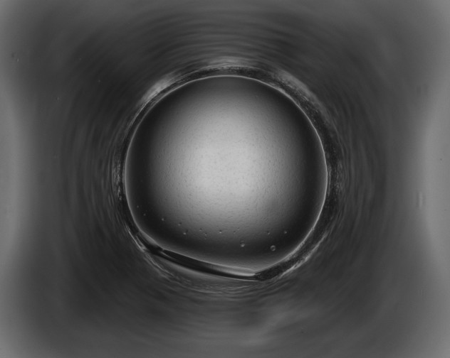 X0000085821321200703231348