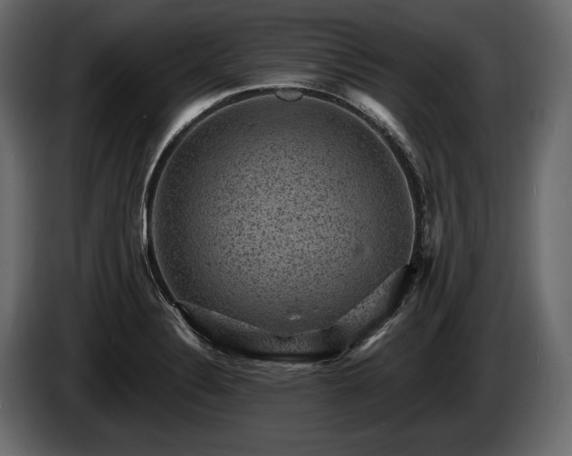 X0000085821324200703231348
