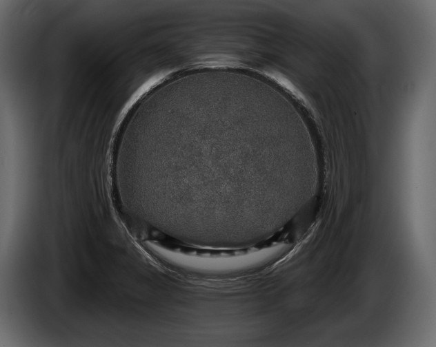 X0000085821325200703231348