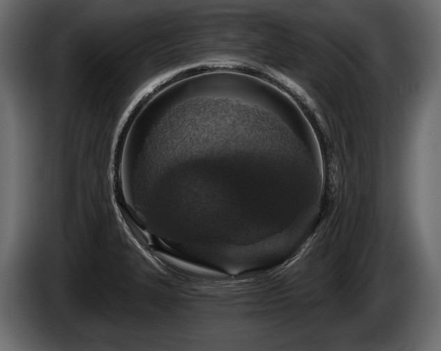 X0000085821327200703231348