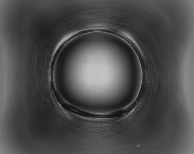 X0000085821328200703231348