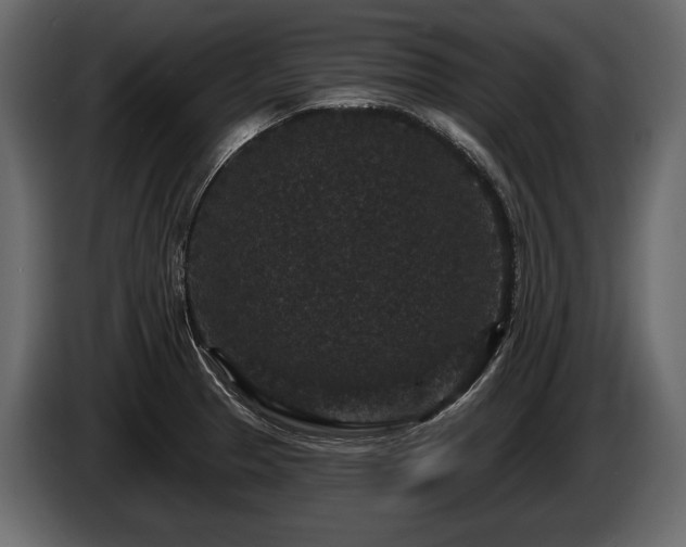 X0000085821329200703231348