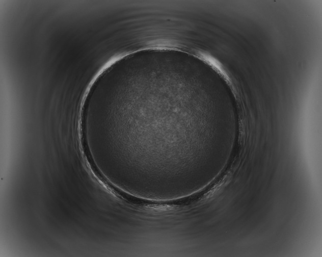 X0000085821331200703231348