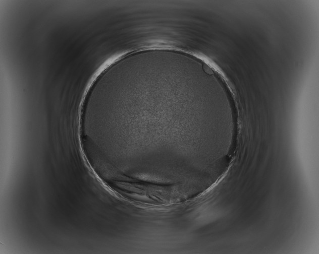 X0000085821333200703231348