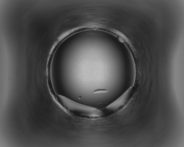 X0000085821335200703231348