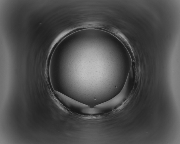 X0000085821336200703231348