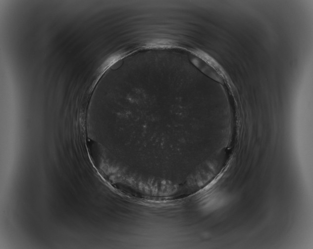 X0000085821337200703231348