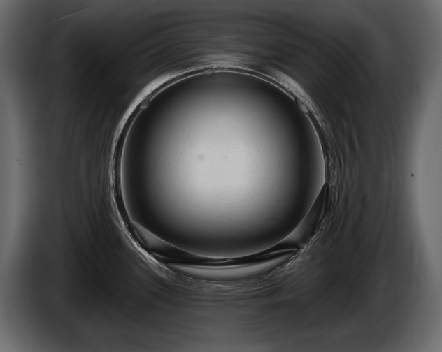 X0000085821339200703231348