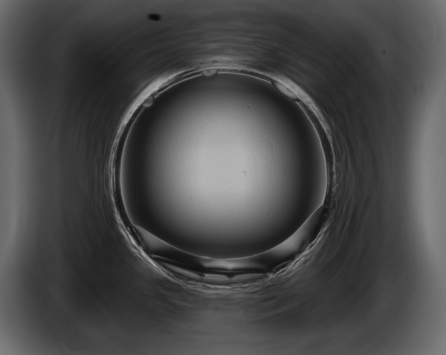 X0000085821341200703231348