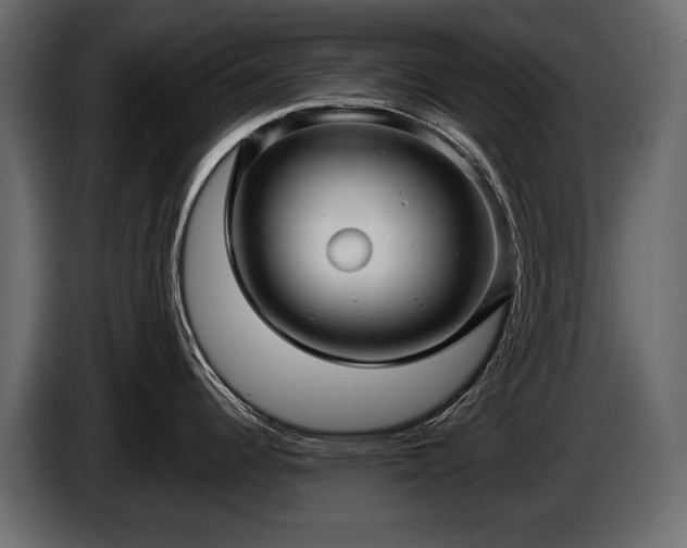 X0000085821344200703231348