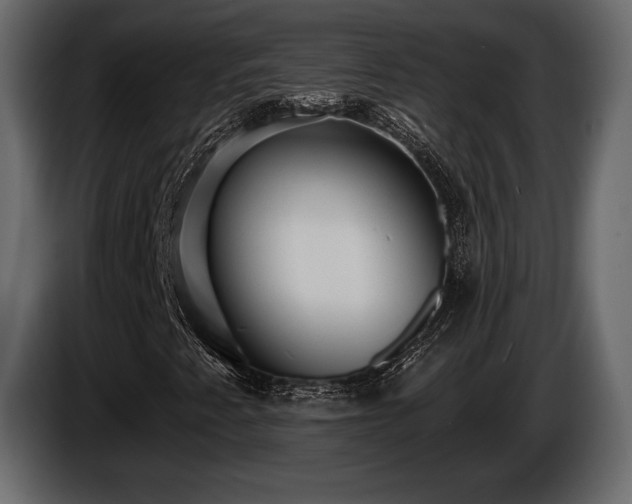 X0000085821345200703231348