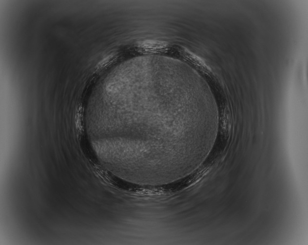 X0000085821346200703231348