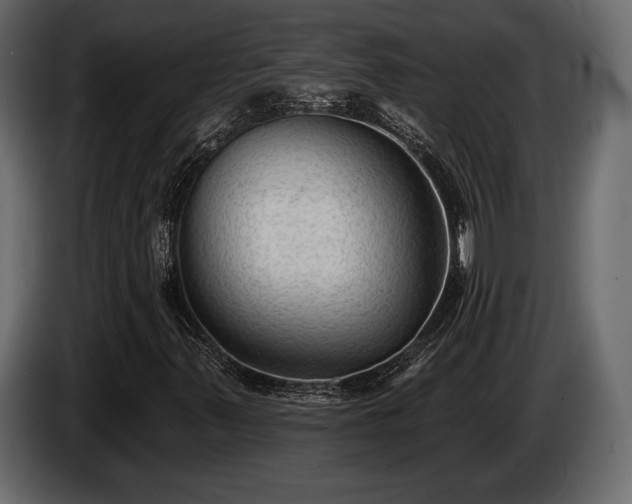 X0000085821347200703231348