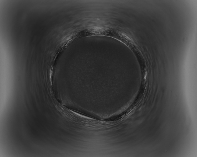 X0000085821348200703231348