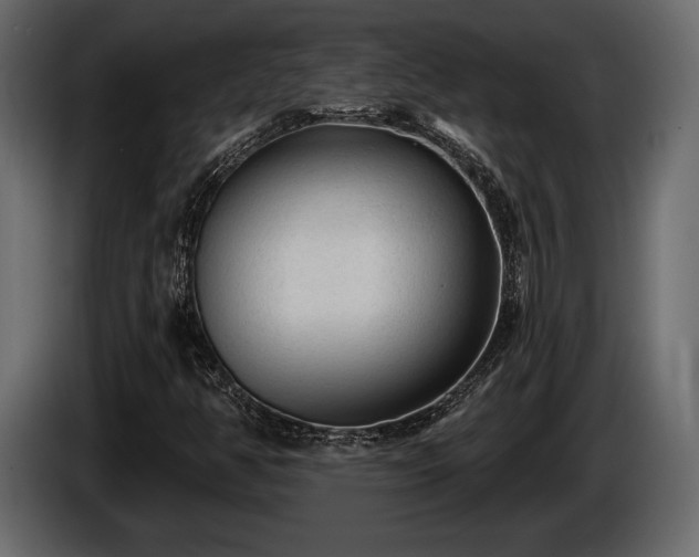 X0000085821350200703231348