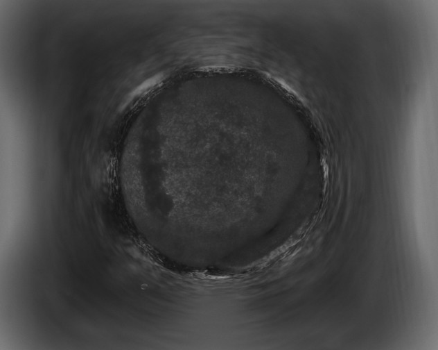 X0000085821351200703231348