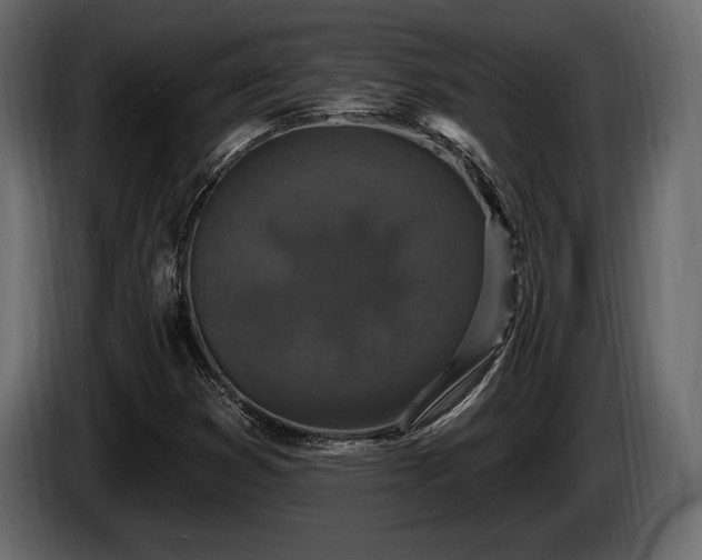 X0000085821353200703231348