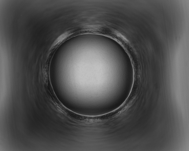 X0000085821354200703231348