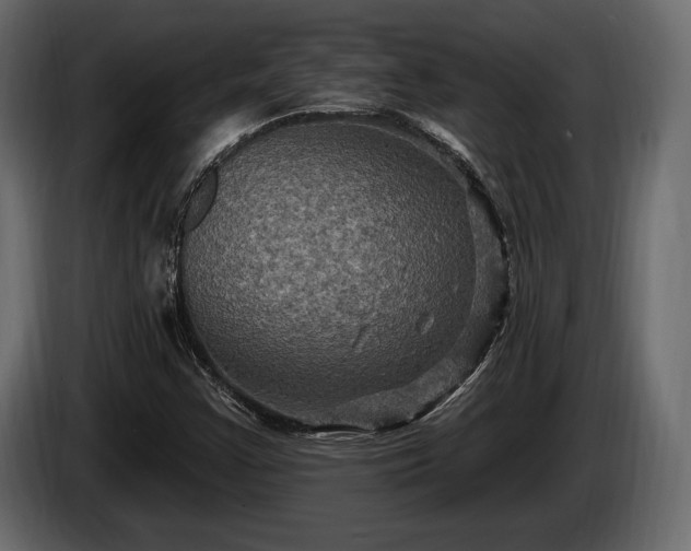 X0000085821355200703231348