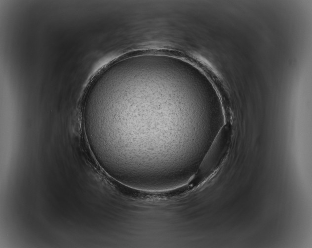 X0000085821358200703231348