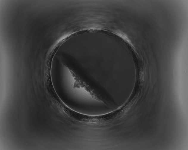 X0000085821359200703231348