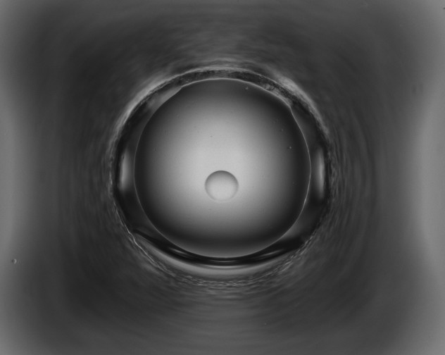 X0000085821360200703231348