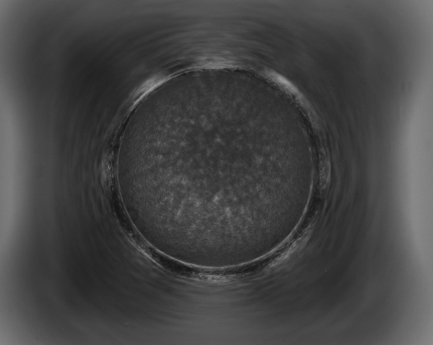 X0000085821361200703231348