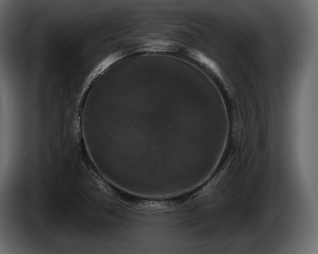 X0000085821362200703231348