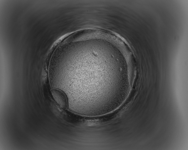 X0000085821363200703231348