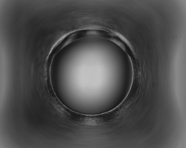 X0000085821364200703231348